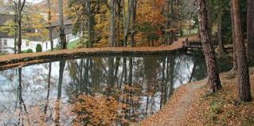 park1.jpg